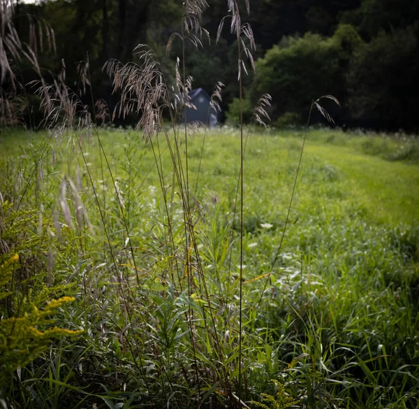 Wooden House Green Grass Background Cloudy Sky Green Trees — Stock Photo, Image