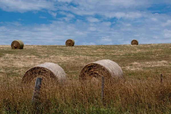 Agricultural Field Bales Bright Cloudy Sky — Stock Photo, Image