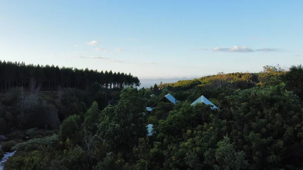 Aerial View Forest Lush Nature South Africa Sunrise —  Fotos de Stock