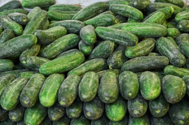 Baby cucumbers placed on a shelf for sale within a market