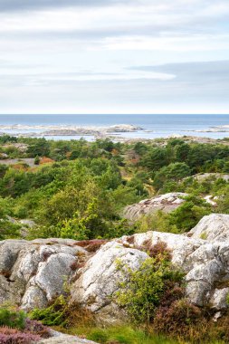 Görkemli ormanın kuş bakışı manzarası ve gölün kayalık kıyıları. İsveç yürüyüşü, doğa yürüyüşü