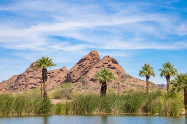 The palm trees next to a river against the background of the mountains under a blue sky
