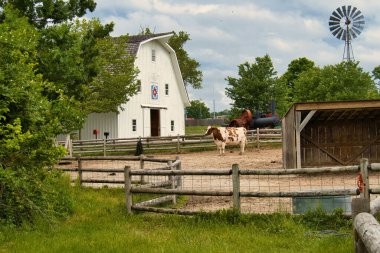 A cow inside a wooden fence outside a barn surrounded by trees at a farm