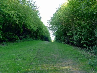 A scenic view of a green pathway surrounded by green trees in Dearne Valley Country Park in Barnsley, UK