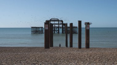 A natural landscape of the Brighton pier