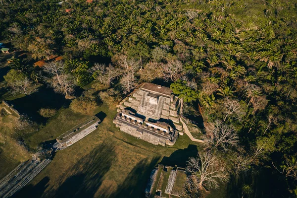An Aerial Drone of Altun Ha Archaeological Site in Belize\
Country in Central America with forest trees