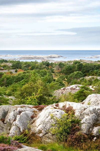 Görkemli ormanın kuş bakışı manzarası ve gölün kayalık kıyıları. İsveç yürüyüşü, doğa yürüyüşü