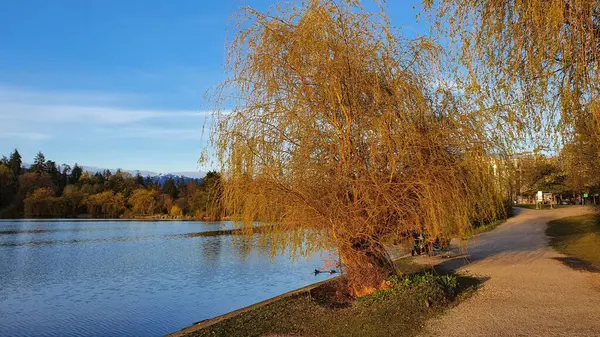 View Lost Lagoon Stanley Park Spring Season — Stock Photo, Image