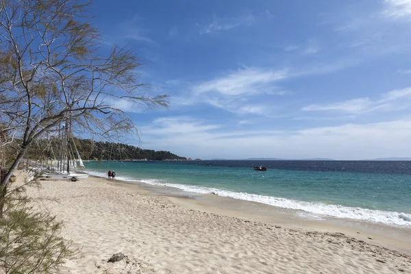 Beautiful View Trees Beach Cavaliere France — Stockfoto