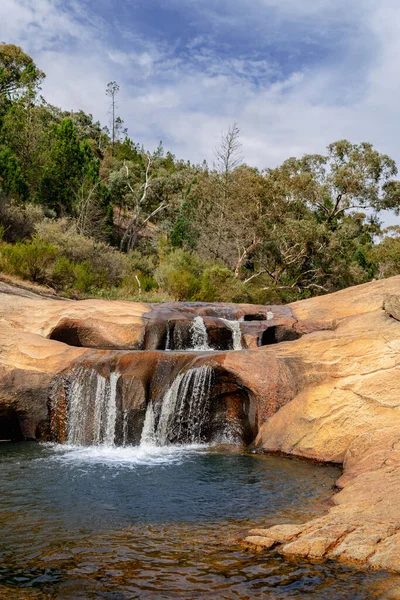 Beechworth Gorge, Victoria 'da arka planda küçük bir şelale ve ağaçların dikey çekimi.