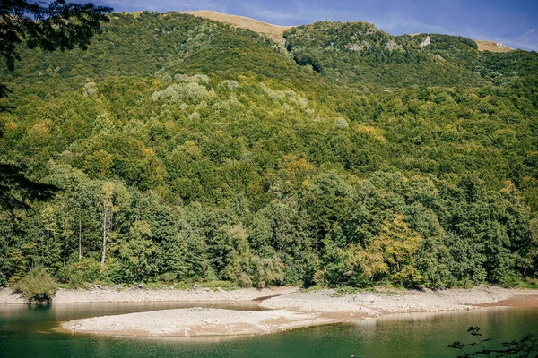 A scenic view of a lake against a hill covered with green forests on a sunny day in Montenegro