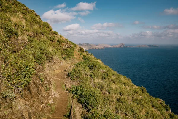 Portekiz, Madeira 'da kırsal bir orman ve uçurum boyunca bir tepe üzerinde bir patika.