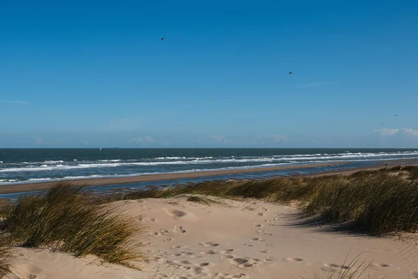 Panoramic View Wavy Lake Sandy Coastline Peaceful Sky —  Fotos de Stock