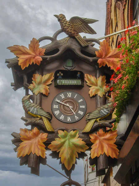 Largest Free Hanging Hand Carved Cuckoo Clock Shop Sankt Goar — Stock fotografie