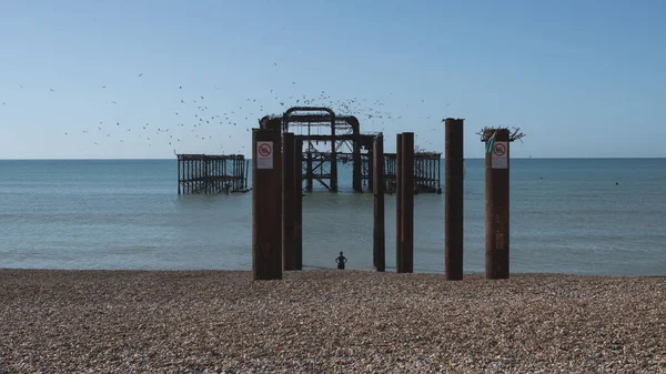 A natural landscape of the Brighton pier