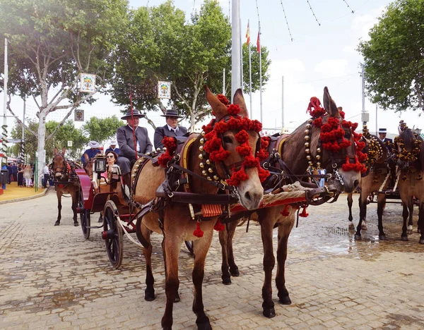Feria de Abril, Sevilla 'da güzel bir manzara.