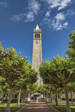 A vertical shot of the northern aspect of the Campanile (Sather Tower) at UC Berkeley against blue sky clipart