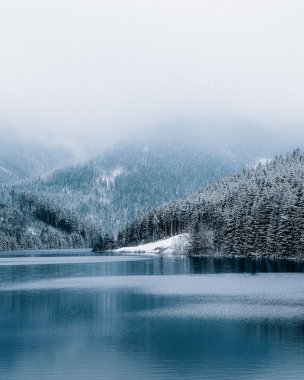 A mesmerizing view of a beautiful seascape surrounded by snow-capped trees in winter