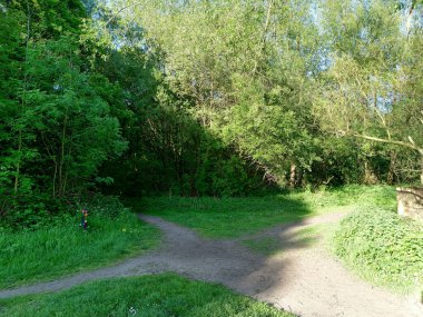 Parlak yeşil bir parkta uzun bir yürüyüş yolu