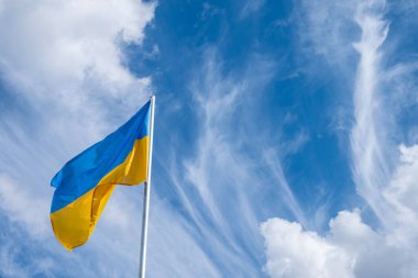 Ukrainian flag fluttering in the wind on a white cloudy sky day.