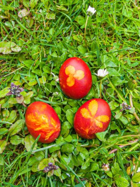 Orthodox Easter, red eggs in grass