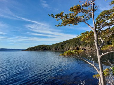 A beautiful landscape of a bay by the cliff on a sunny morning
