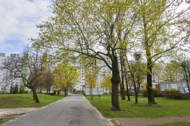 The Asphalt footpath leading to high apartment building in the Orla Bialego district.