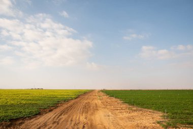 A dirt road surrounded by green grass fields under a cloudy sky
