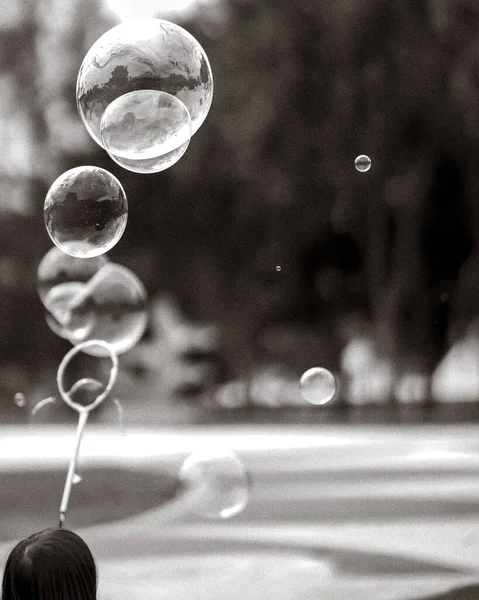 Vertical Shot Soap Bubbles Floating Garden — Fotografia de Stock