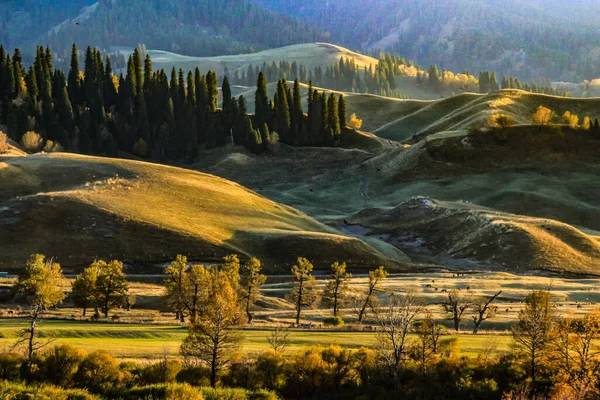 Beautiful View Nalati Grassland Ili Large Area Sloping Terrain — Stockfoto