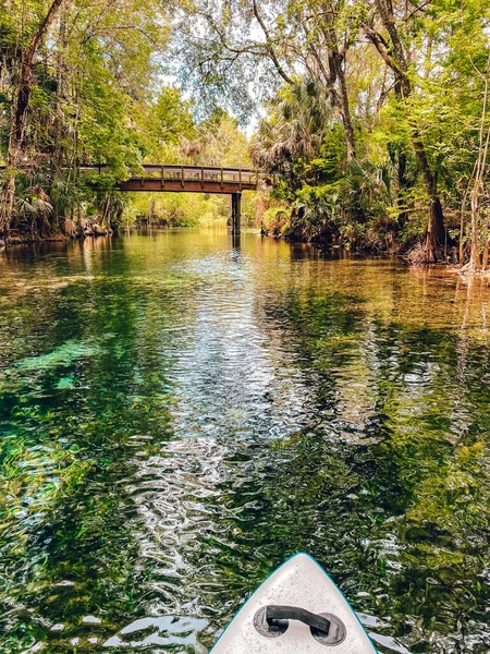 Clear Water River Surrounded Trees Sunny Day — Stock Photo, Image