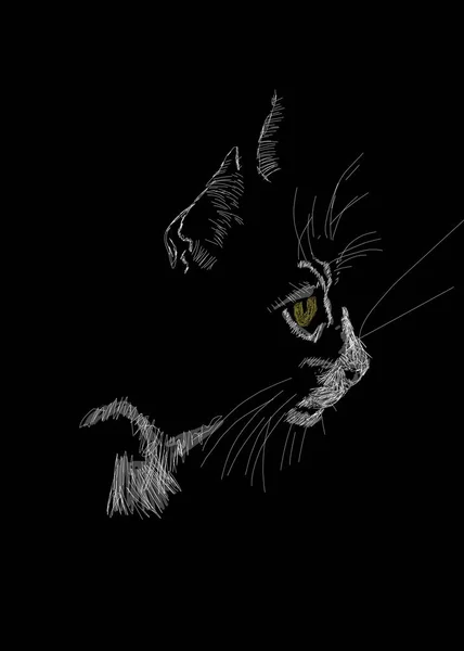 Vertical Greyscale Drawing Cat Portrait Black Background — Stock Photo, Image