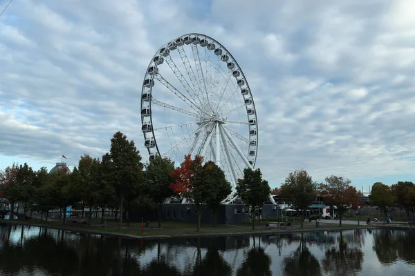 Aerial Cityscape Montreal Ferris Wheel Surrounded Autumn Trees Water — Stockfoto