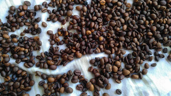 Closeup Coffee Beans White Surface —  Fotos de Stock