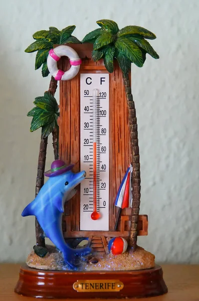 Picture Shows Thermometer Inscription Tenerife Surrounded Palm Trees Life Belt — Photo