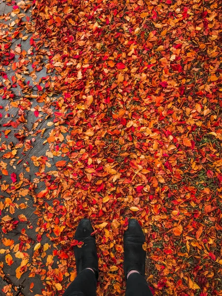 Vertical Shot Stylish Man Black Boots Standings Colorful Autumn Foliage — Φωτογραφία Αρχείου