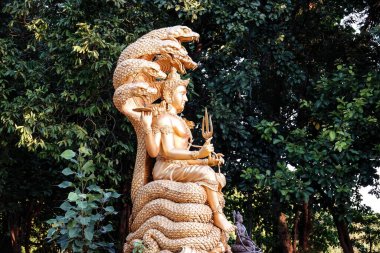 A scenic view of a Buddha statue in a forest with trees in the background