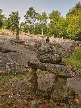 A beautiful view of green leaved trees and rock in Ellsworth Rock Gardens at Voyageurs National Park on a sunny day, Minnesota, United States
