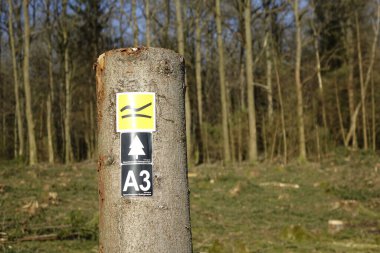 23 Şubat 2022, Ruckersfeld, NRW, Almanya, Siegerland 'da kesilmiş bir ağaç gövdesinde yürüyüş sembolleri