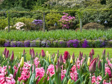 A beautiful view of the colorful flowers and green plants on a sunny day at The Butchart Gardens, Victoria, British Columbia, Canada