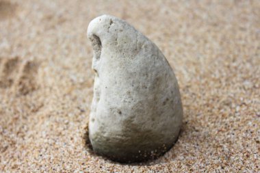 A closeup shot of a white Solid non-metallic rock on beach's sands with blurred background