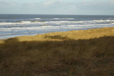Fascinating light and shadow play in the North Sea beach dunes with rolling waves on a sunny stormy winter morning, Egmond aan Zee, North Holland