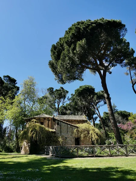 Vertical Shot Hut Beautiful Garden Pine Trees Flowers Capricho Park — Stock Photo, Image