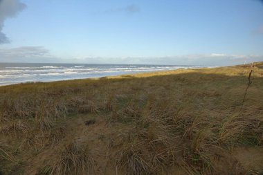 Fascinating light and shadow play in the North Sea beach dunes with rolling waves on a sunny stormy winter morning, Egmond aan Zee, North Holland