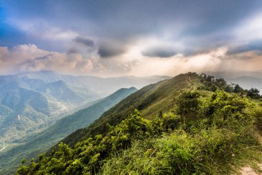 View of a natural landscape with mountains and plants under cloudy sky