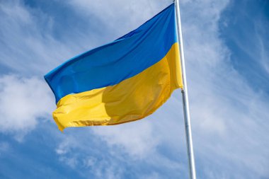 Ukrainian flag fluttering in the wind on a white cloudy sky day.