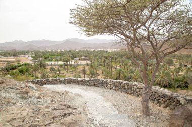 Dağları ve vadileri olan çöl yolu buğdayla kuruyor.