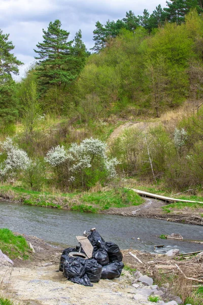 Garbage Bags Abandoned Nature Green Dump Dirt — Stock Photo, Image