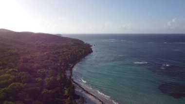 An aerial footage of a body of water with the waves hitting the forested shore