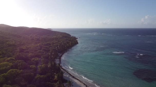 Aerial Footage Body Water Waves Hitting Forested Shore — Vídeo de Stock